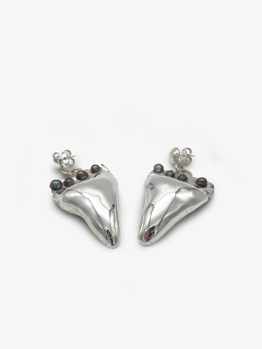 Found Stewart Island Earrings