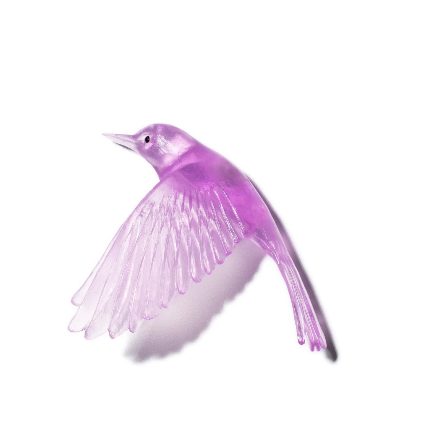 Fuscia
