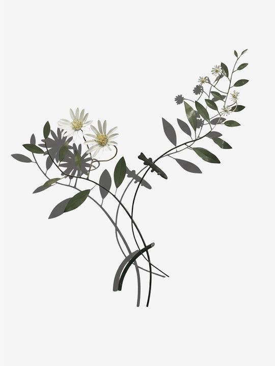 Taking a Closer Look - Streamside Daisy with Galaxiiae by Bing Dawe