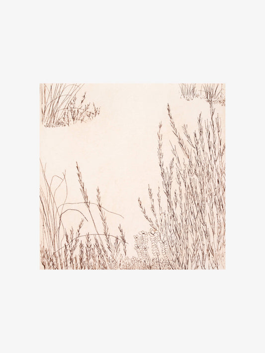Alpine Study I Ed. 14/30, 2024