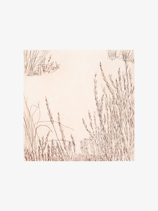 Alpine Study I Ed. 18/30, 2024