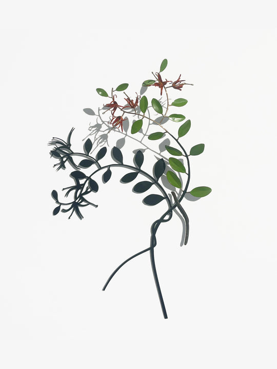 Mostly Shadow, Red Mistletoe with Tunariki by Bing Dawe