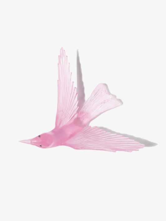 Bellbird / Korimako
