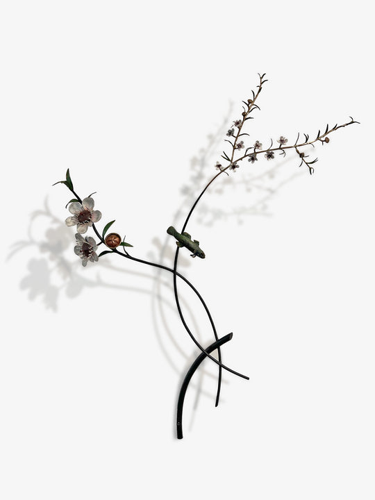 Taking a Closer Look - Branches Manuka with Blue Gilled Bully/25 by Bing Dawe