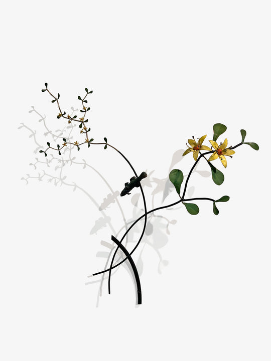 Taking a Closer Look - Branches Corokia with Blue Gilled Bully/25 by Bing Dawe