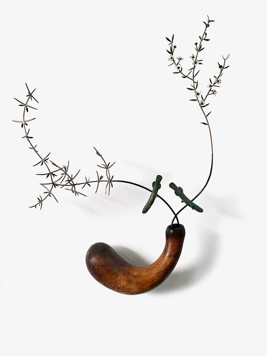 Sharing the Dry - Container with Mudfish and branches Matagouri and Manuka