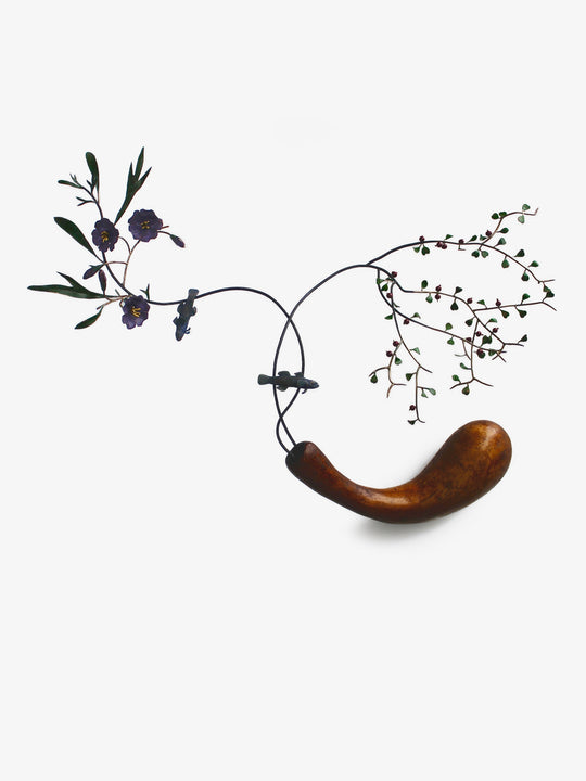 Streamside Colour - Container with Bluegilled Bullies and Branches Poroporo and Weeping Mapou