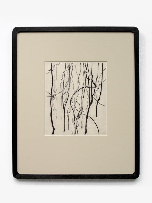 Bushwalk - Remnant I Ed. 7/20, 2024