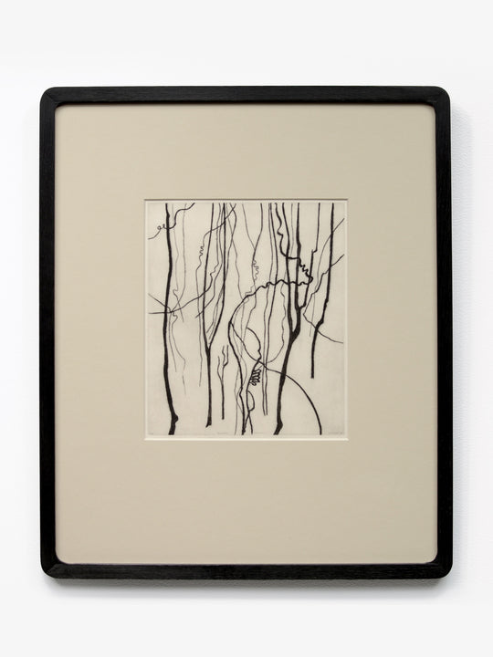 Bushwalk - Remnant I Ed. 7/20, 2024