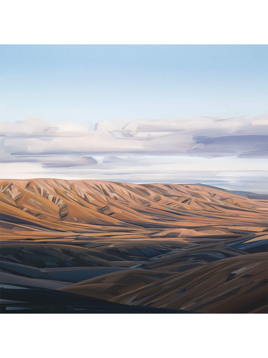 Looking Across To The Hawkdun Range, Central Otago, New Zealand by Caroline Bellamy