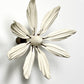 Clematis Star Large by Tim Main
