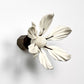 Clematis Star Small by Tim Main
