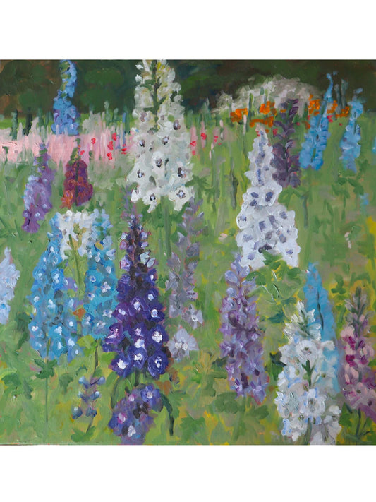 Delphinium Garden