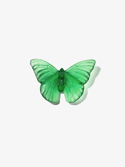 Classic Butterfly Admiral