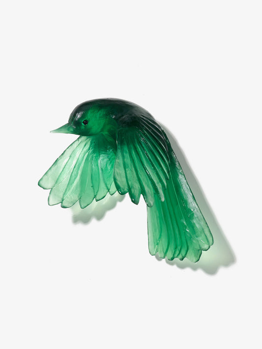 Fantail / Pīwakawaka – Wings Down