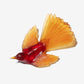 Fantail / Pīwakawaka