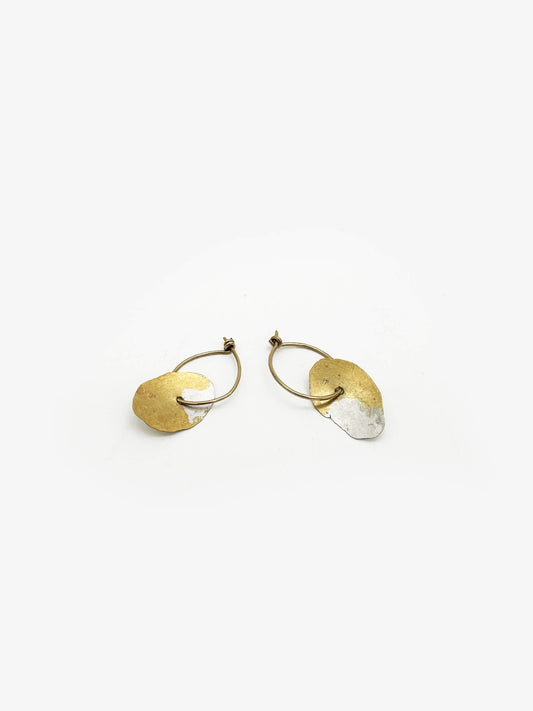 Flickee Discs Earrings (AC595)