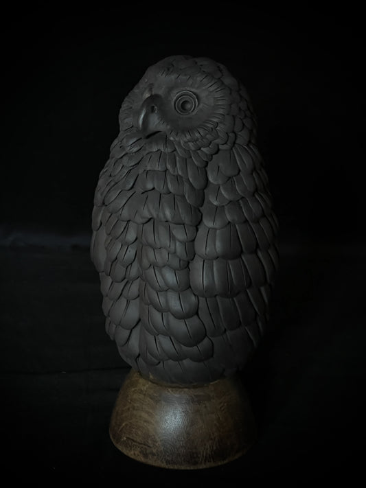 Ruru VIII