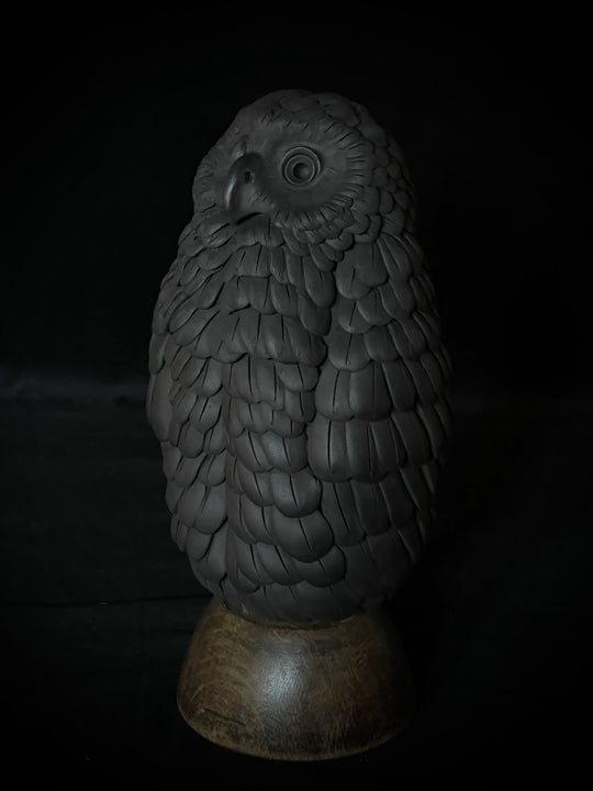 Ruru VIII