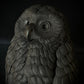 Ruru VIII