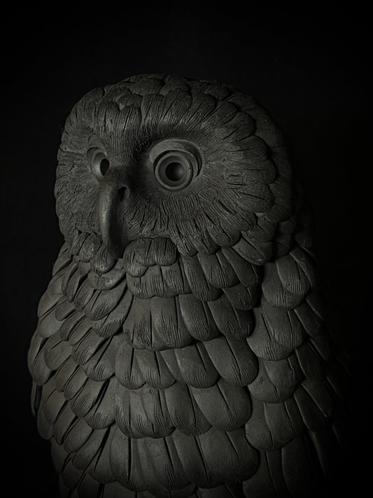 Ruru X