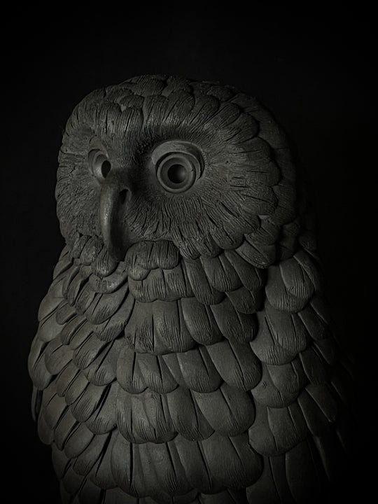 Ruru X