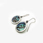 Paua Disc Earrings (JL383)
