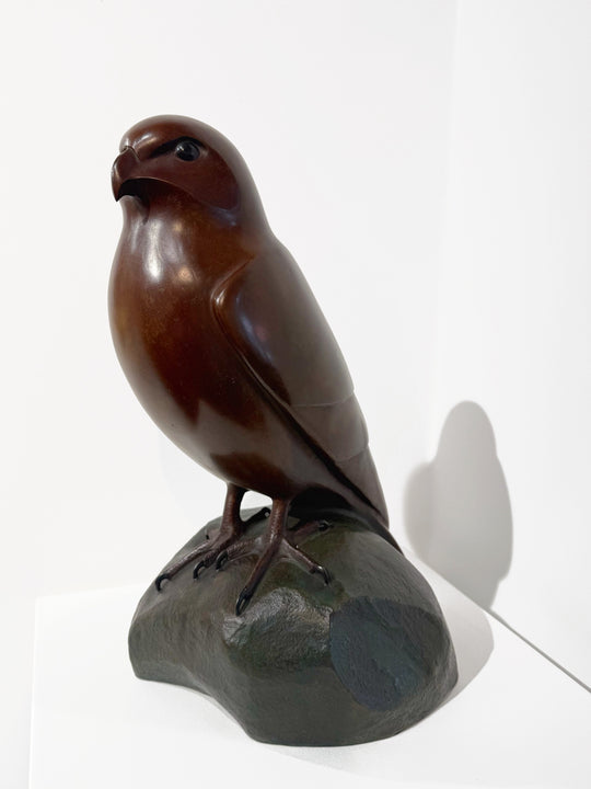 kārearea Ed. 6/7