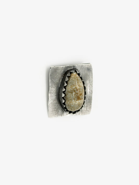 A Shell Is A Shell Brooch by John Z Robinson