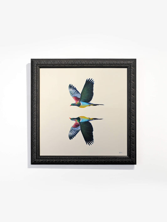 Kererū, Kererū II