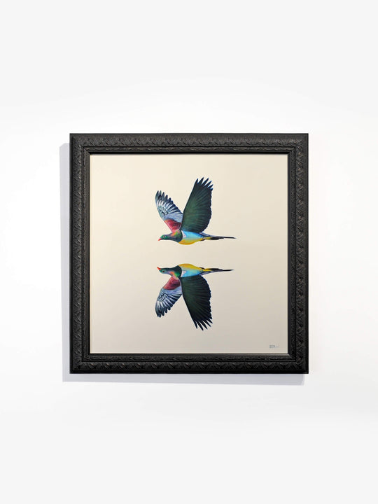 Kererū, Kererū II