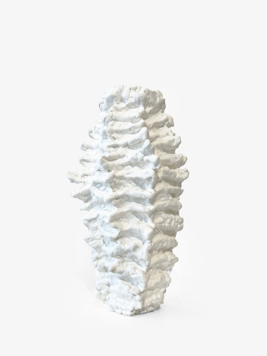 White on White Encrusted Dry Vase