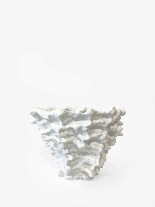 White on White Encrusted Bowl