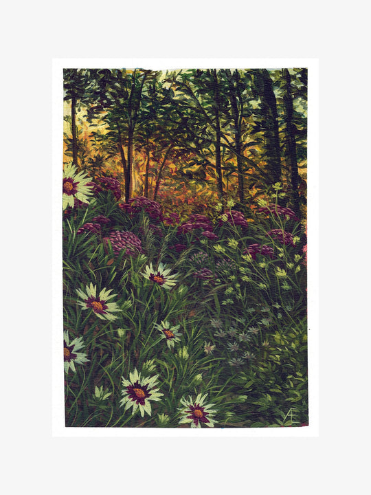 Last of the Coreopsis