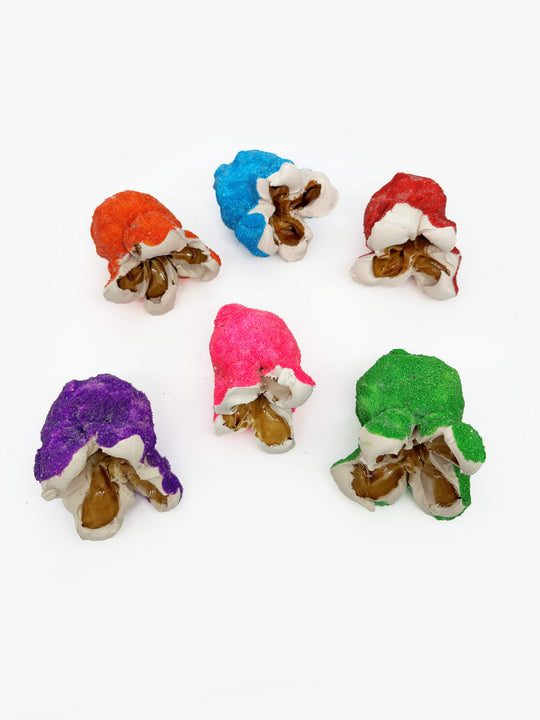 Mixed Coloured Popcorn Set of Six by Madeleine Child (MC1776)