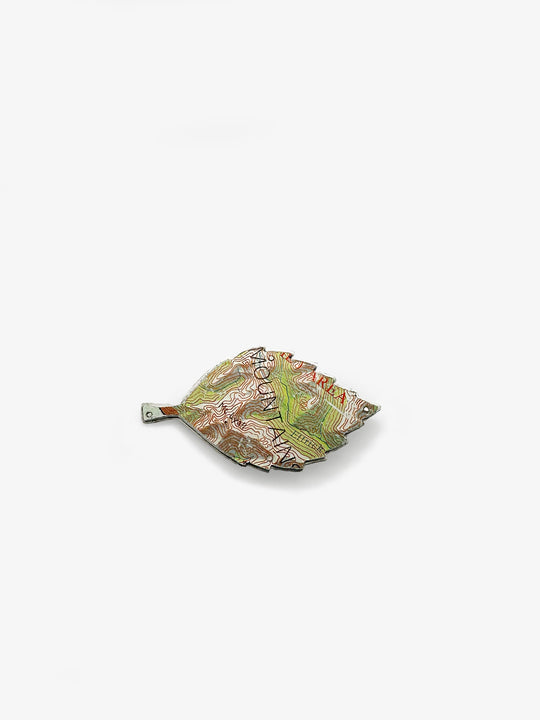 Laceback Map Brooch