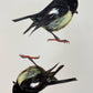 Miromiro, Miromiro