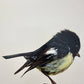 Miromiro, Miromiro