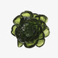 Peony
