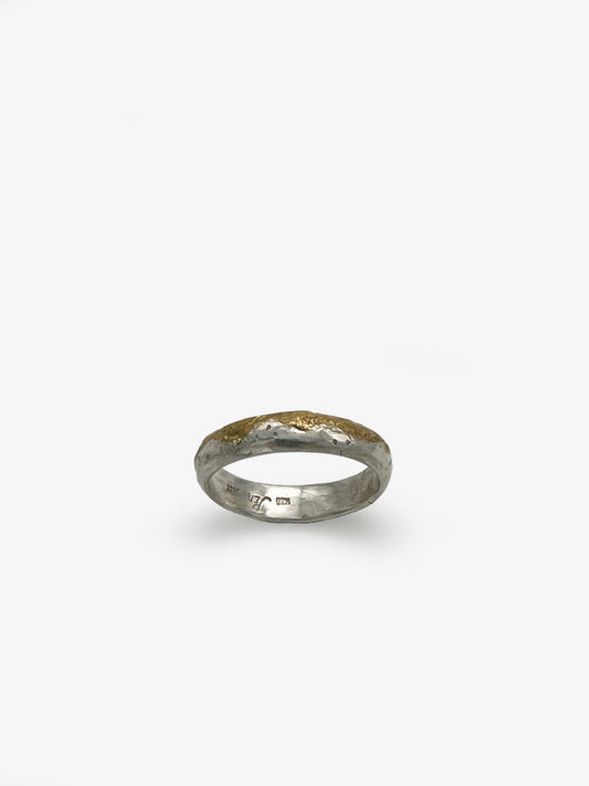 Dawn Chorus Ring