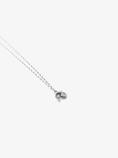 Pittosporum Pod Necklace