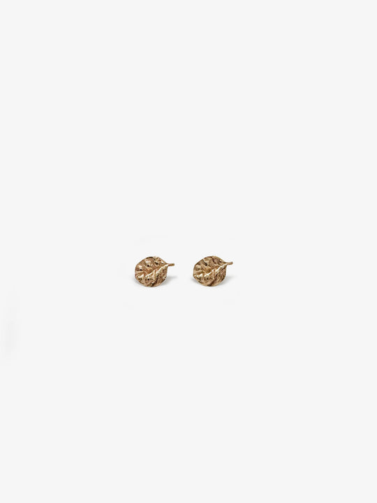 Ramarama Leaf Studs