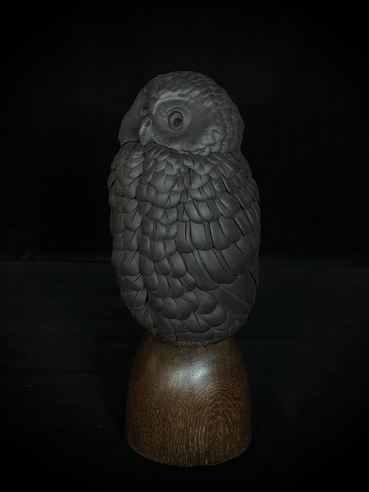 Ruru IV