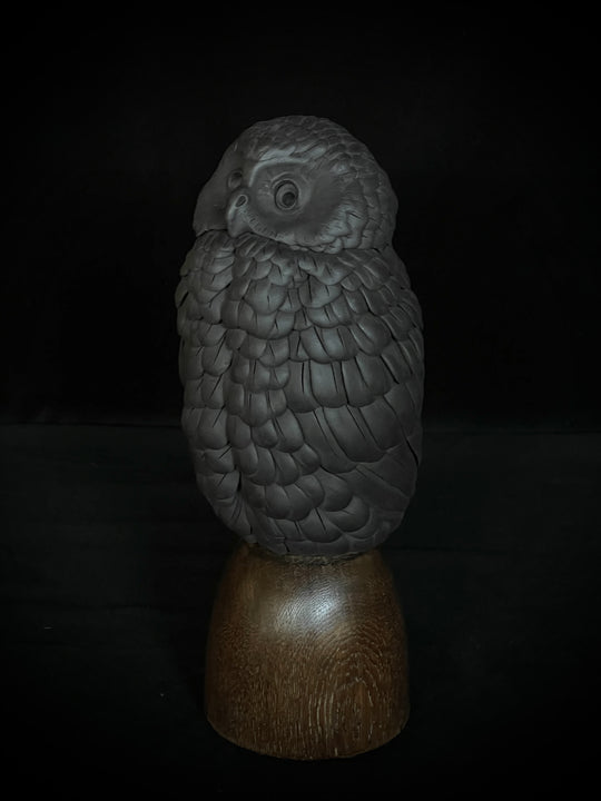 Ruru IV