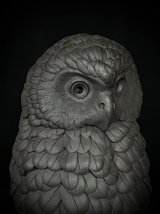 Ruru V