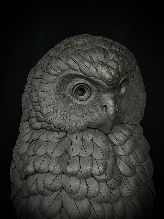 Ruru V