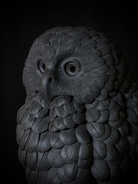 Ruru VII