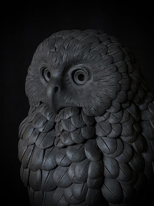 Ruru VII