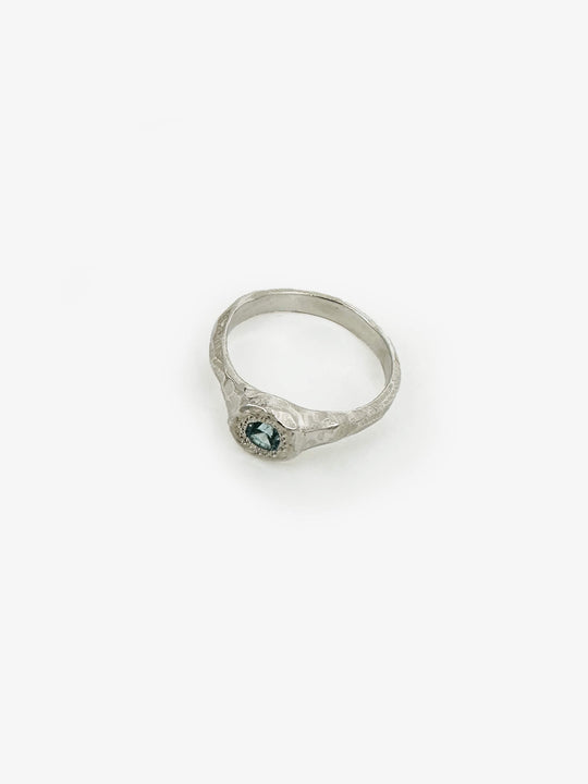 Spring Ring (SD297)