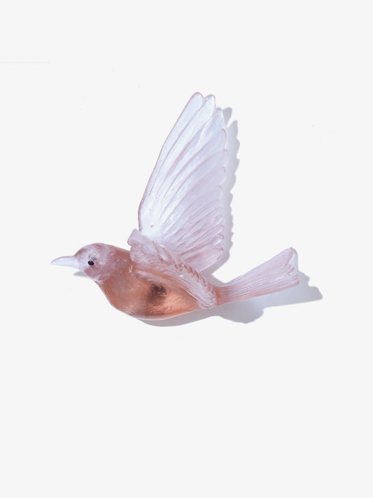 Stitchbird / Hihi